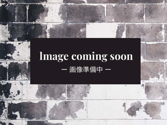 トレヴィの泉 サムネイル